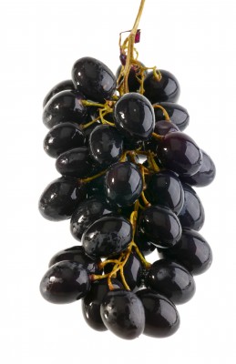 grape diet
