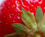 strawberry diet